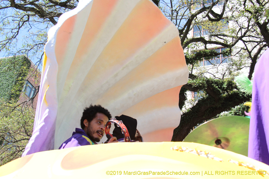 Rex-Organization-2019-010874