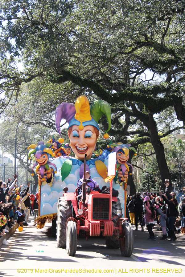 Rex-Organization-2019-010880