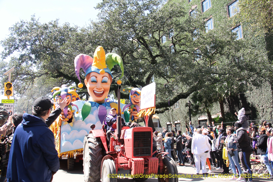 Rex-Organization-2019-010881