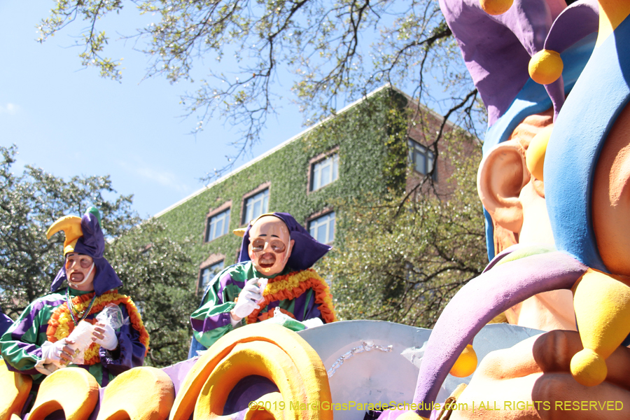 Rex-Organization-2019-010883