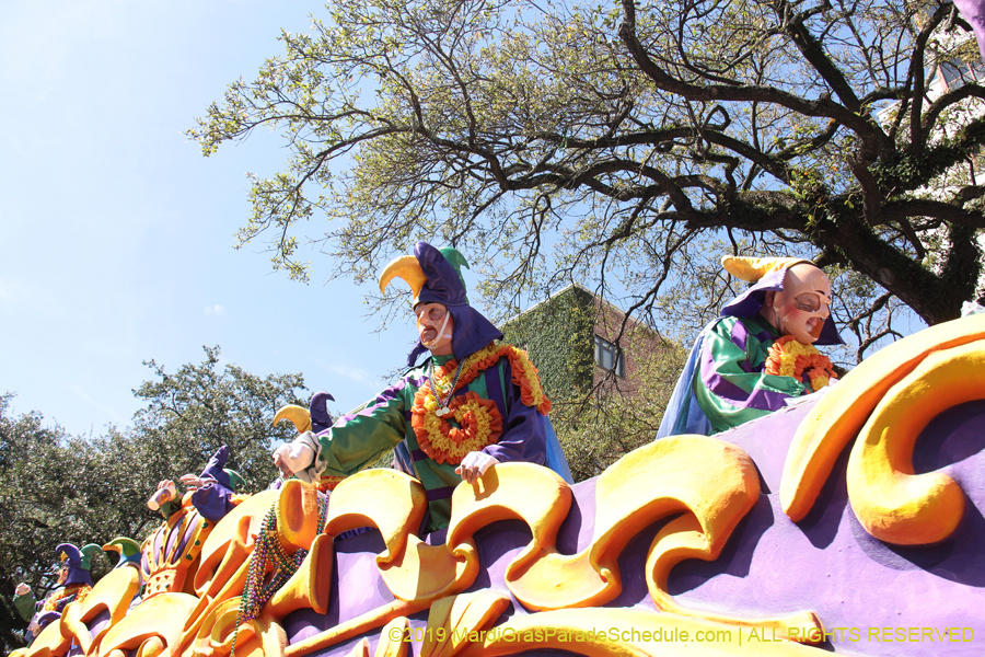 Rex-Organization-2019-010884