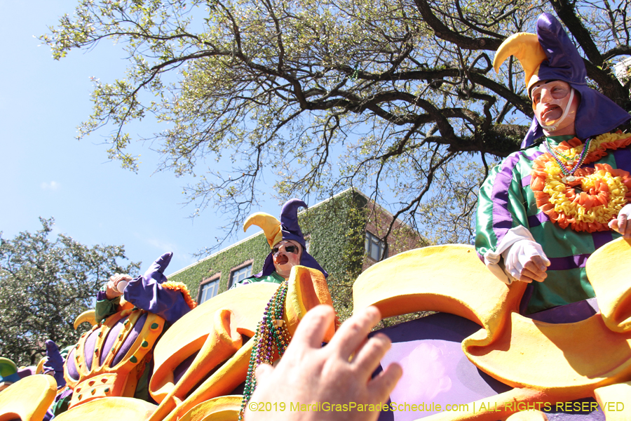 Rex-Organization-2019-010885