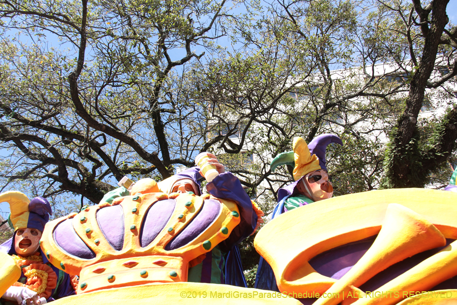 Rex-Organization-2019-010886