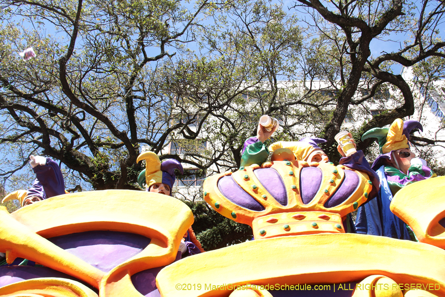 Rex-Organization-2019-010887