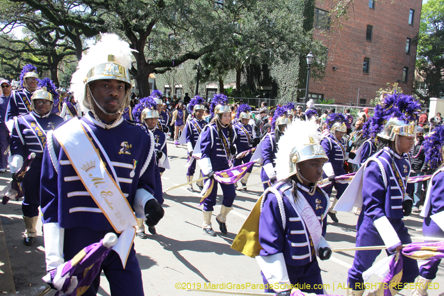 Rex-Organization-2019-010891