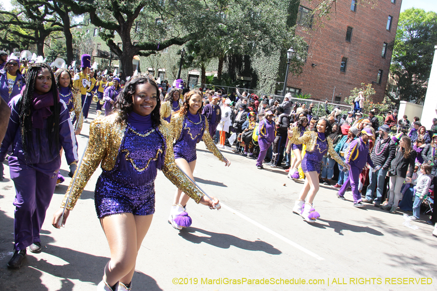 Rex-Organization-2019-010892