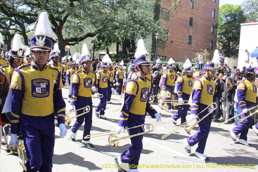 Rex-Organization-2019-010893