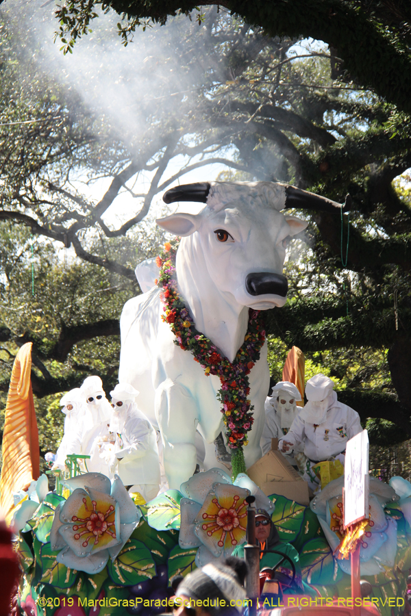 Rex-Organization-2019-010895