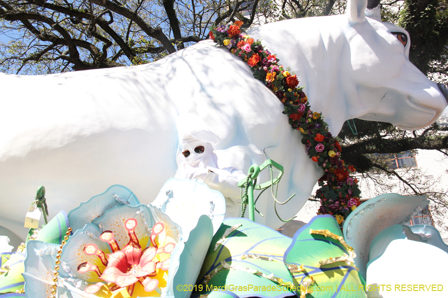 Rex-Organization-2019-010898