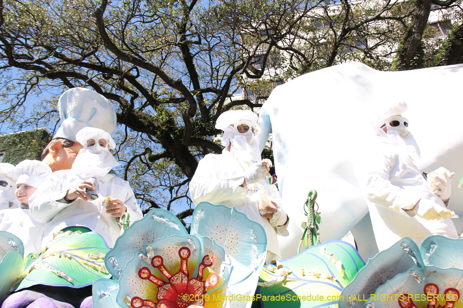 Rex-Organization-2019-010899