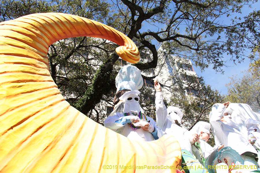 Rex-Organization-2019-010901