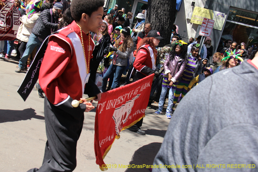 Rex-Organization-2019-010902