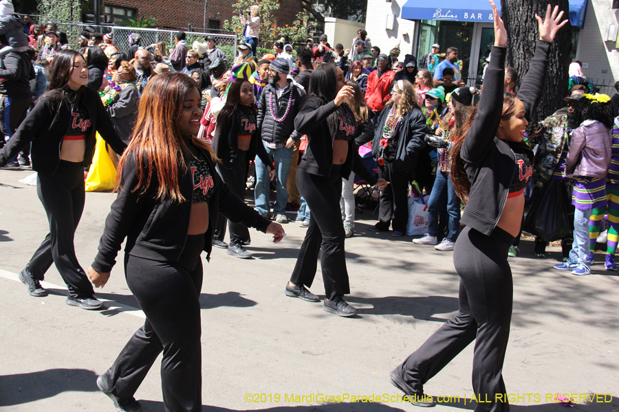 Rex-Organization-2019-010903