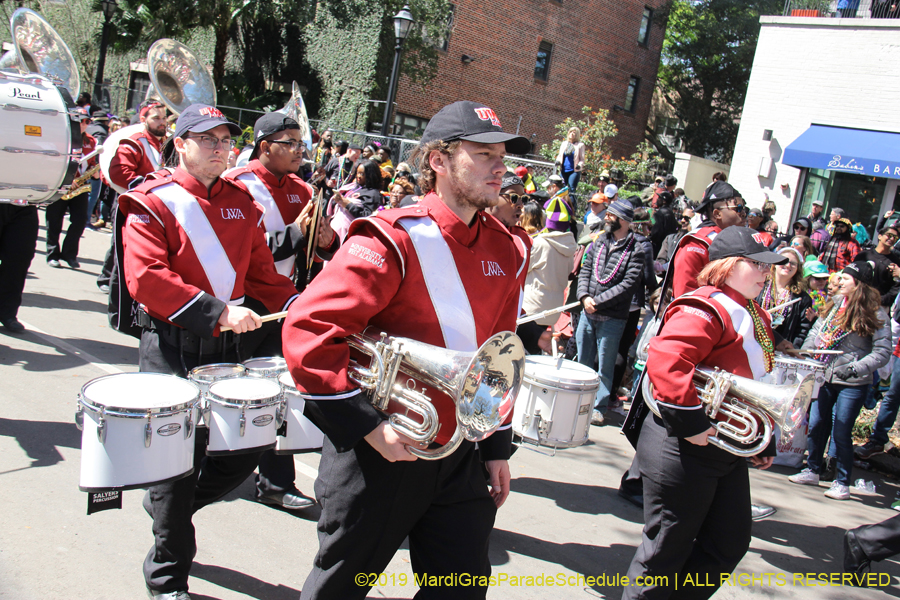 Rex-Organization-2019-010905