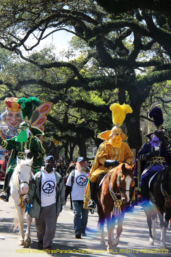 Rex-Organization-2019-010908