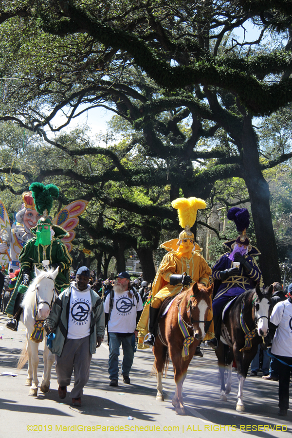 Rex-Organization-2019-010909