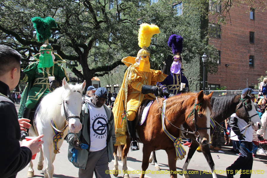 Rex-Organization-2019-010910