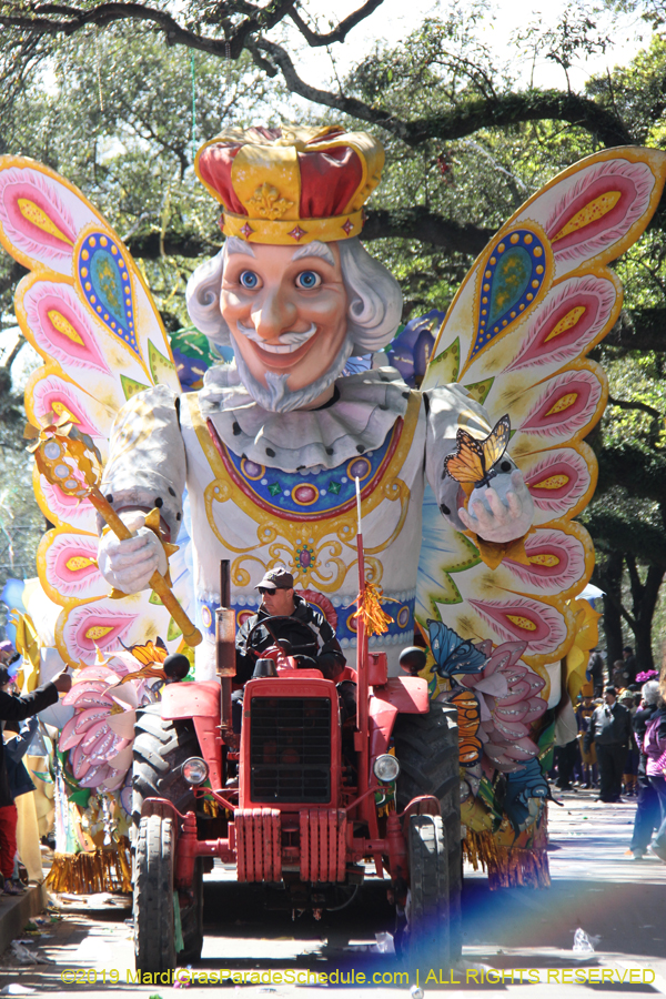 Rex-Organization-2019-010911