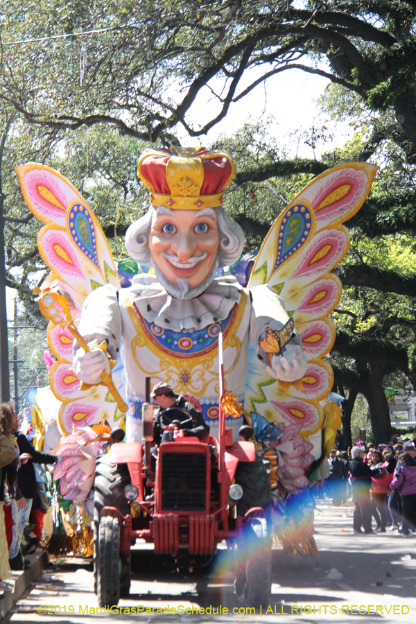 Rex-Organization-2019-010912