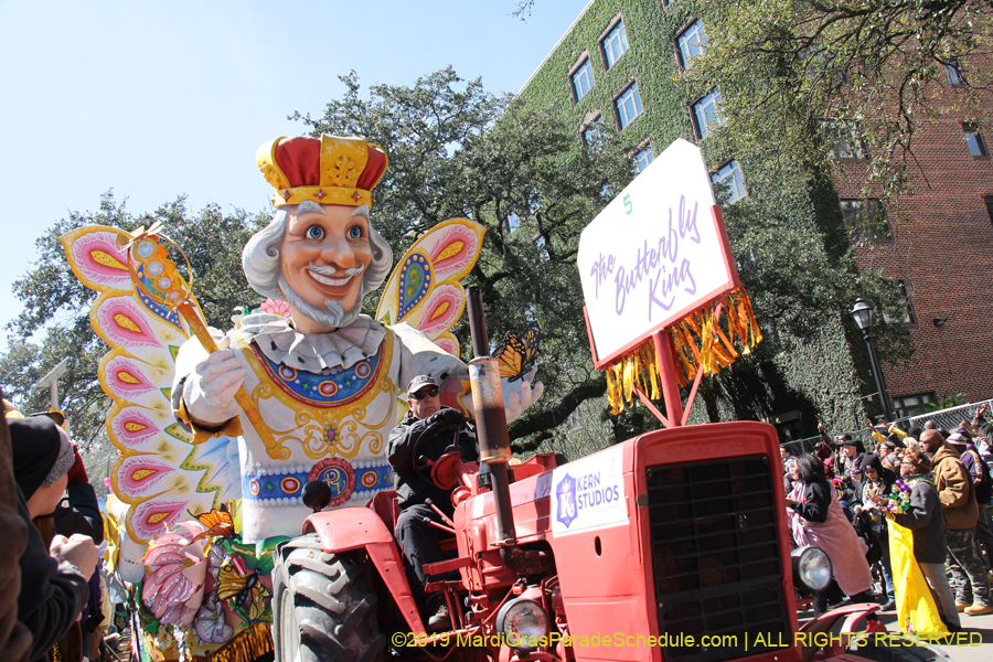 Rex-Organization-2019-010913