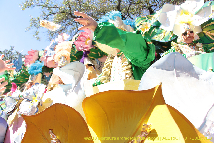 Rex-Organization-2019-010914