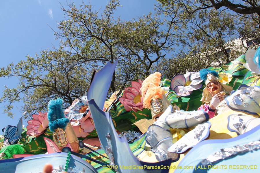 Rex-Organization-2019-010915