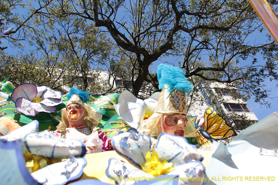 Rex-Organization-2019-010916