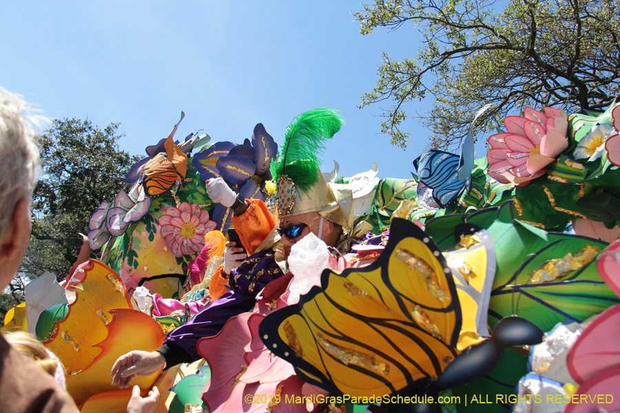 Rex-Organization-2019-010919