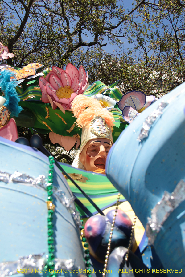 Rex-Organization-2019-010920