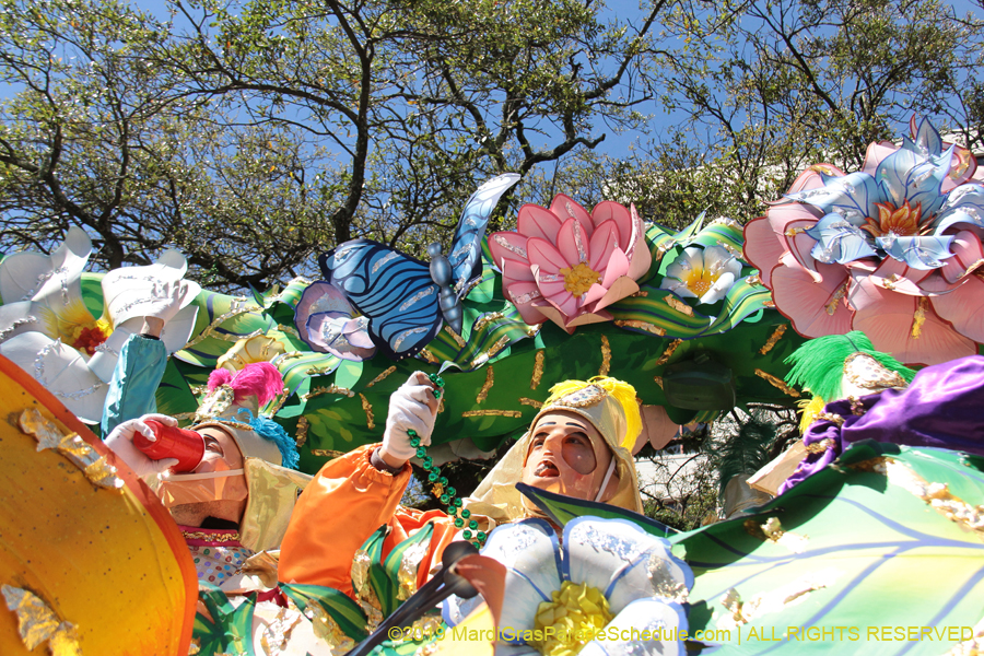 Rex-Organization-2019-010921