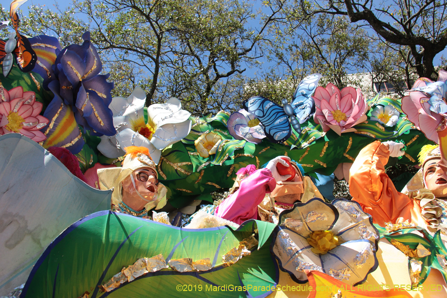 Rex-Organization-2019-010922