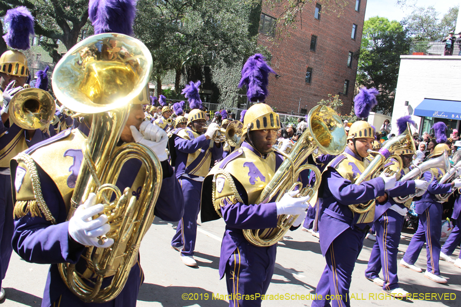 Rex-Organization-2019-010926