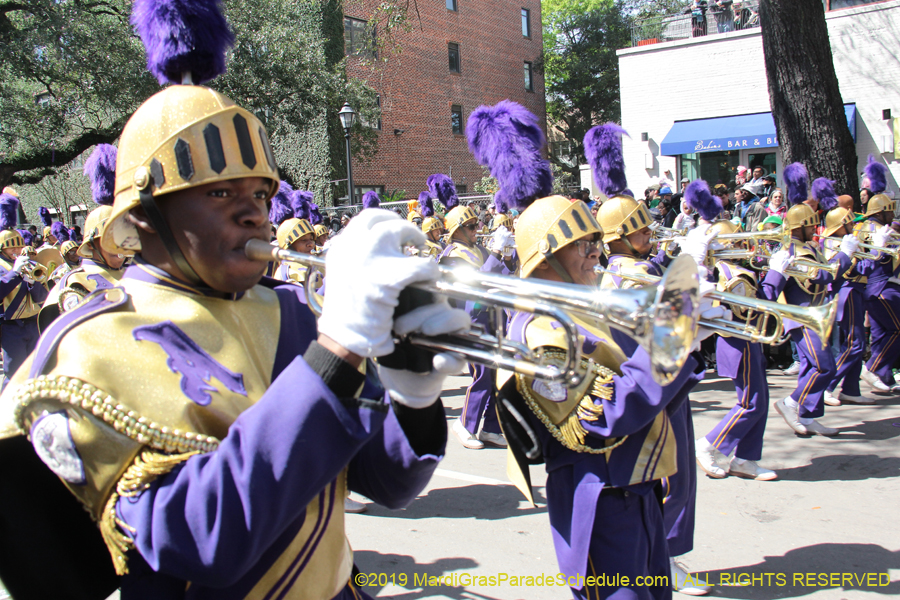 Rex-Organization-2019-010927