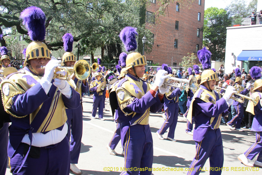 Rex-Organization-2019-010928