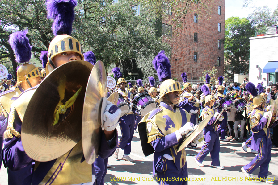 Rex-Organization-2019-010929