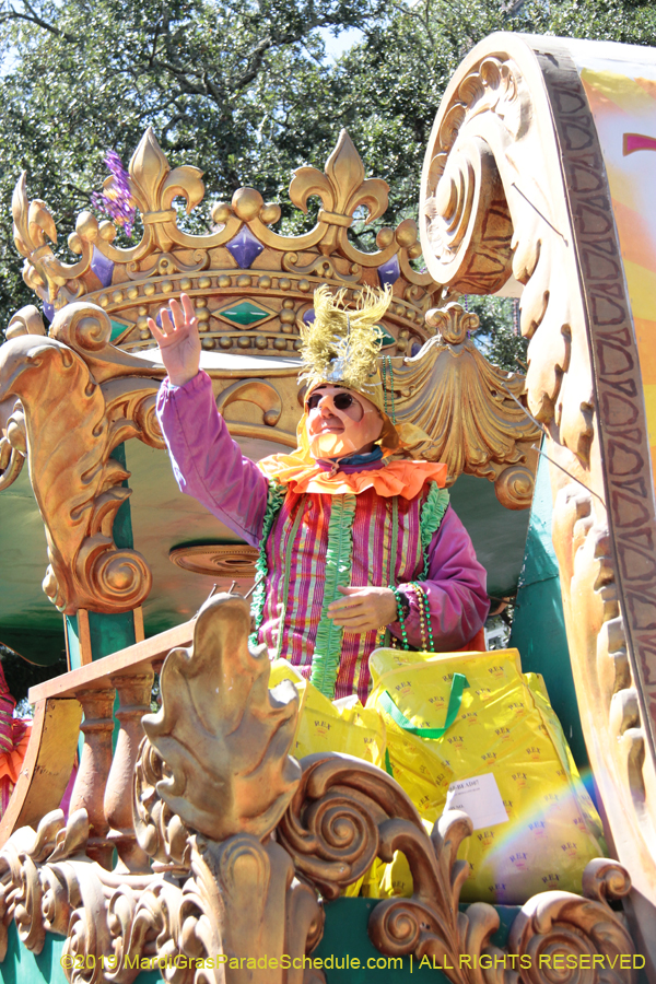 Rex-Organization-2019-010933