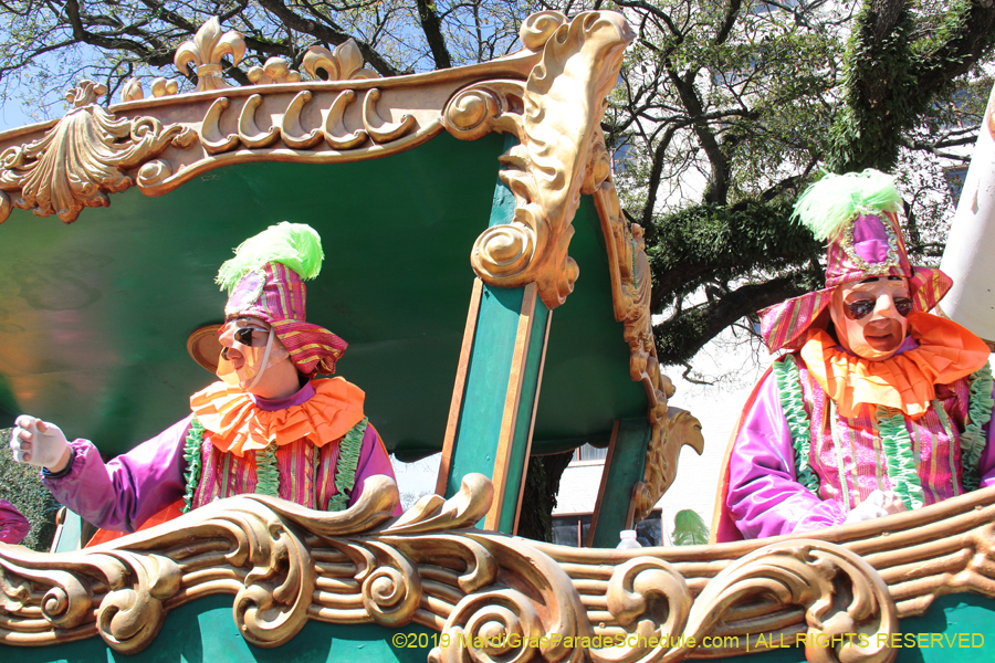 Rex-Organization-2019-010935