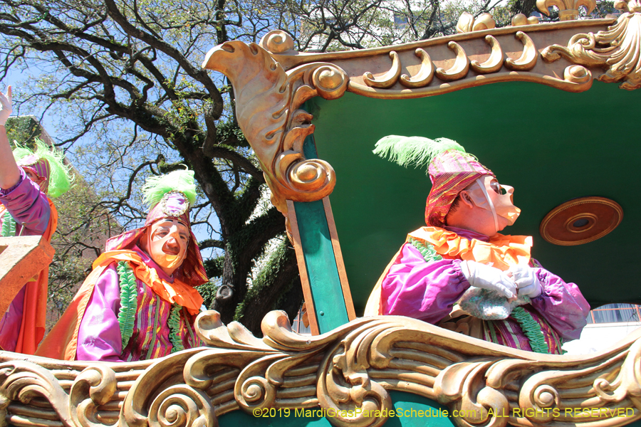 Rex-Organization-2019-010936