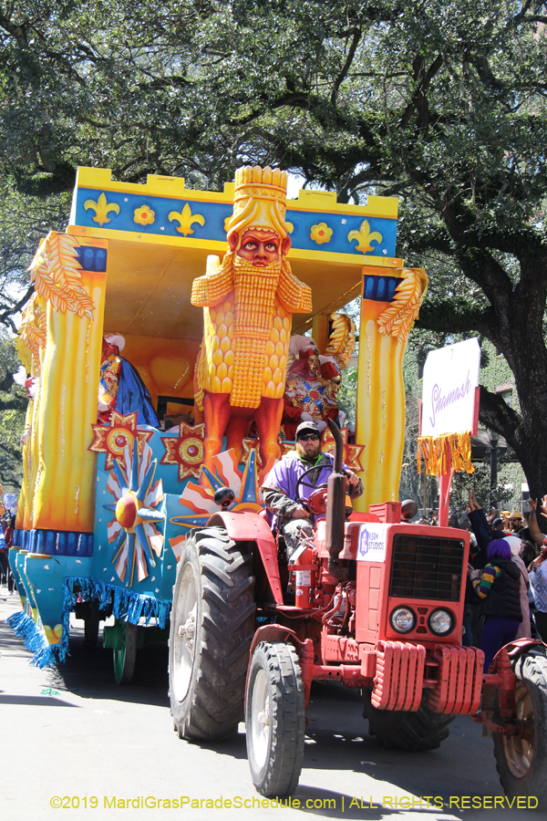 Rex-Organization-2019-010938