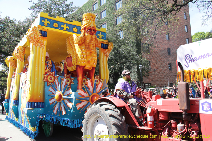 Rex-Organization-2019-010939