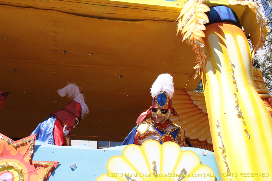 Rex-Organization-2019-010940