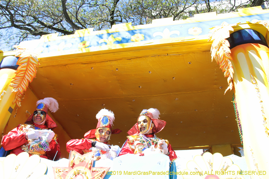 Rex-Organization-2019-010942