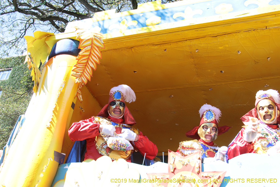 Rex-Organization-2019-010943