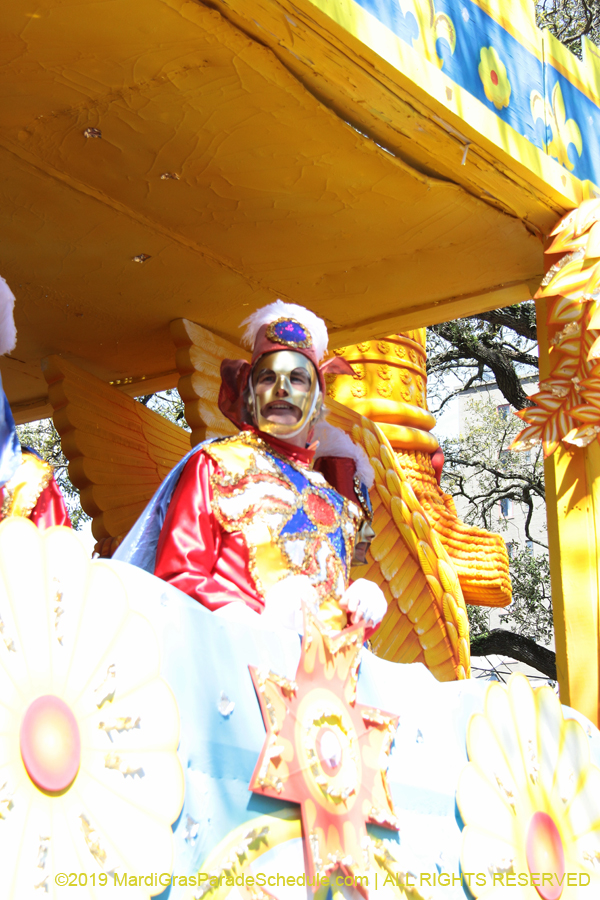 Rex-Organization-2019-010944