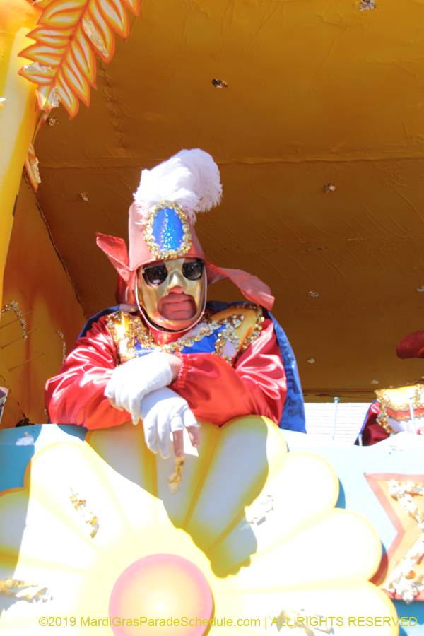 Rex-Organization-2019-010945