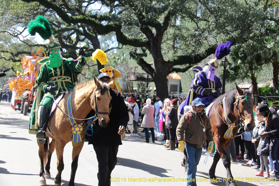 Rex-Organization-2019-010953