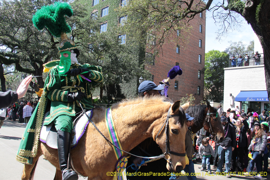 Rex-Organization-2019-010954