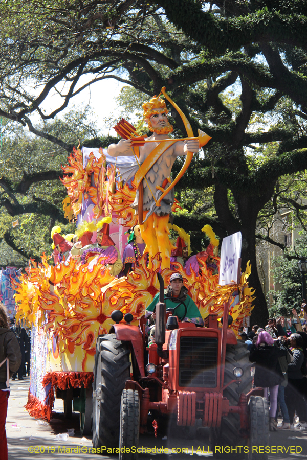 Rex-Organization-2019-010955