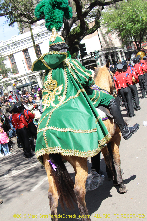 Rex-Organization-2019-010956