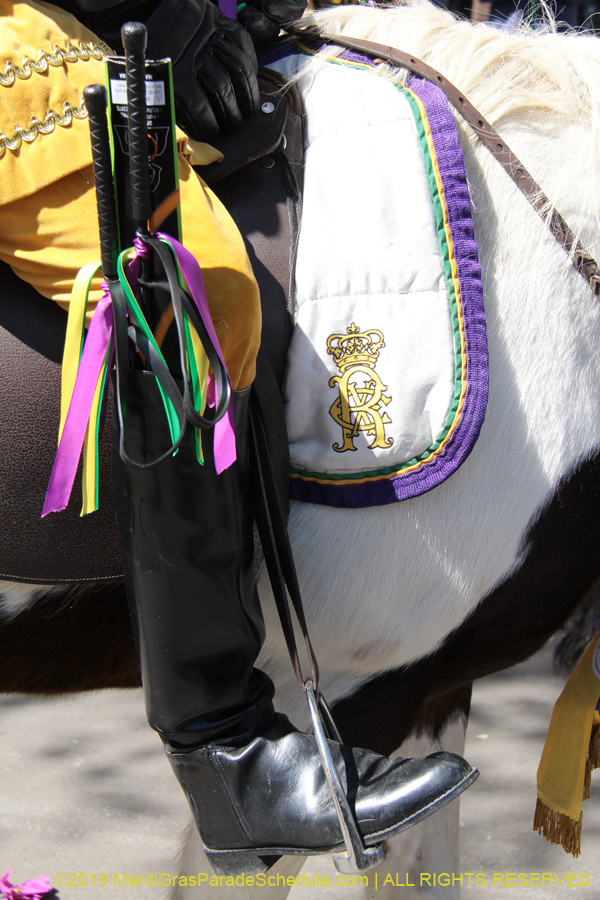 Rex-Organization-2019-010957